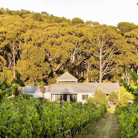 Polperro Villas Red Hill Exteriér fotografie