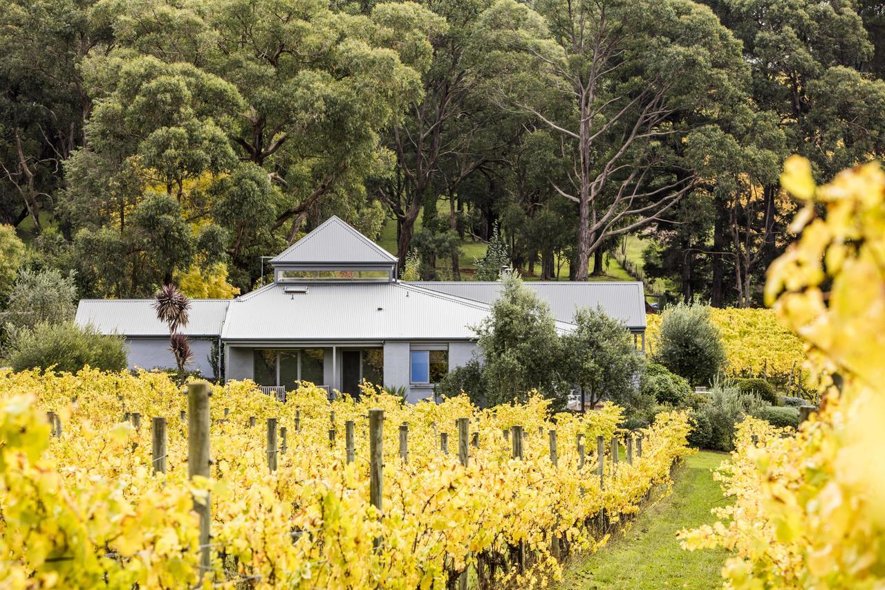 Polperro Villas Red Hill Exteriér fotografie