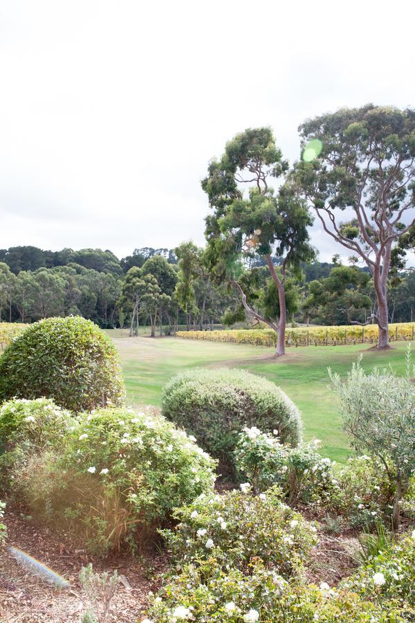 Polperro Villas Red Hill Exteriér fotografie